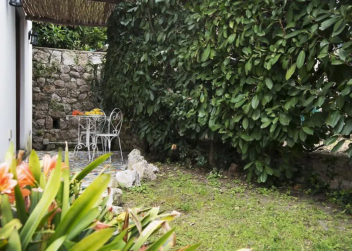 ゲストハウス Tiberio's Dream