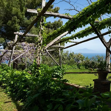 Tiberio's Dream Maison d'hôtes Capri